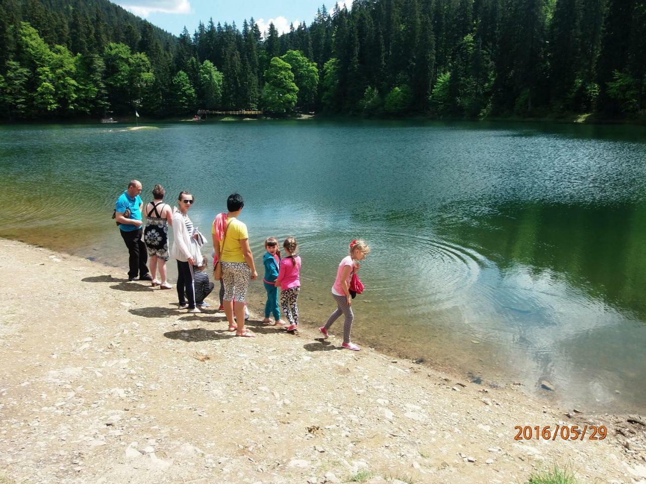 Family Green Sasovka  Exteriér fotografie