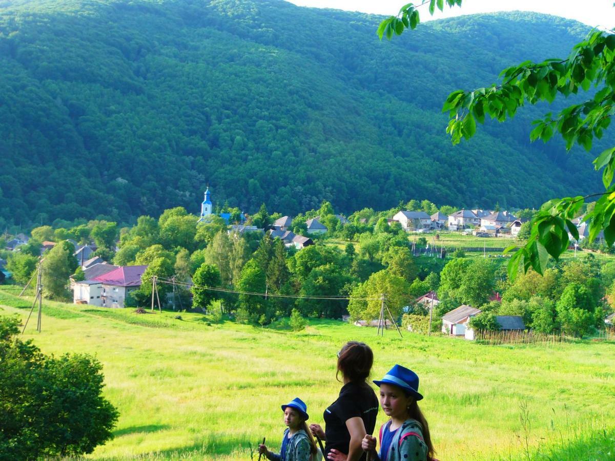 Family Green Sasovka  Exteriér fotografie